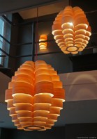 Glow pendant lamp in maple wood and seven Oak wall lamp